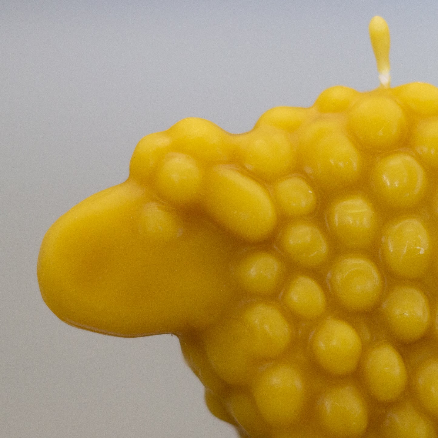 Sheep Beeswax Candle