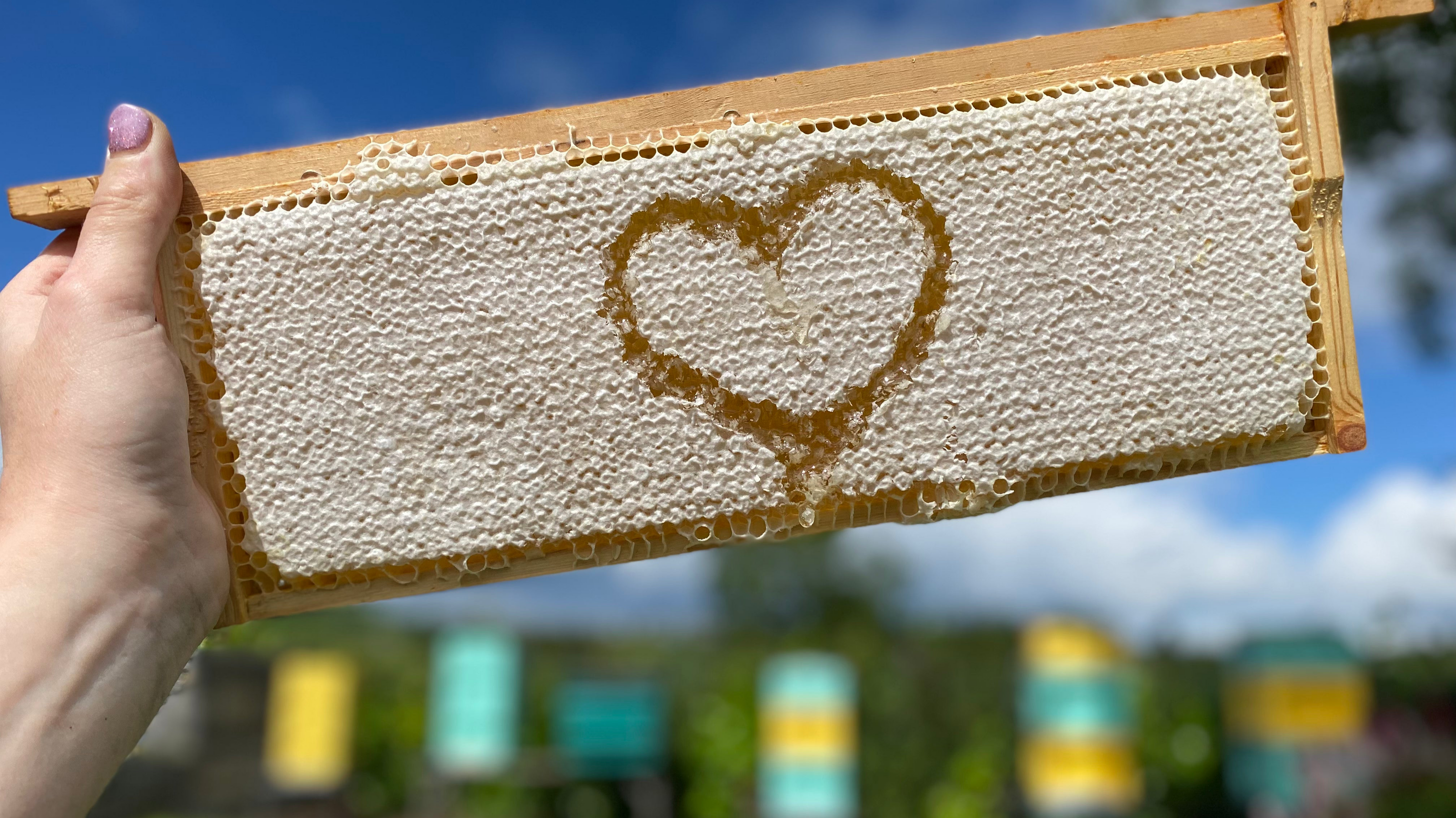 Slideshow -16:9 ratio