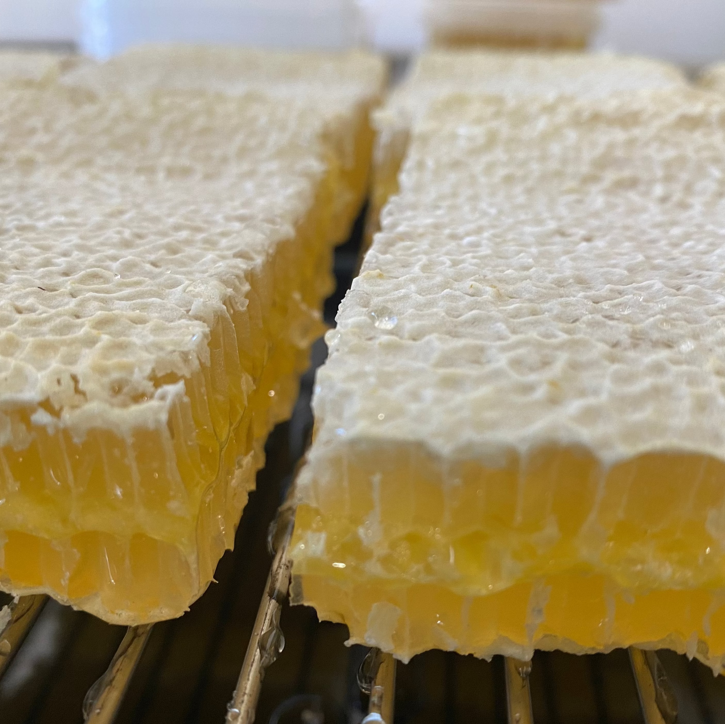Cut Comb Honey