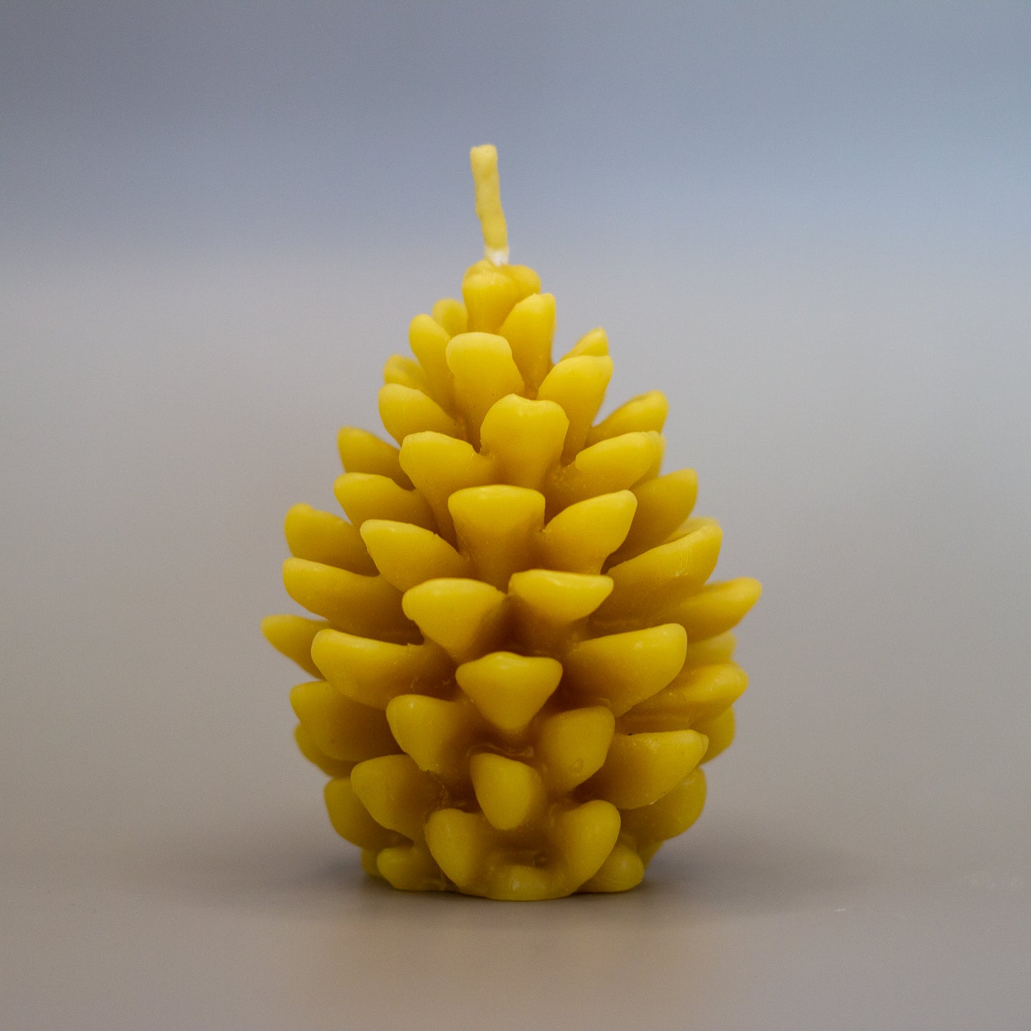 Pine Cone Beeswax Candle