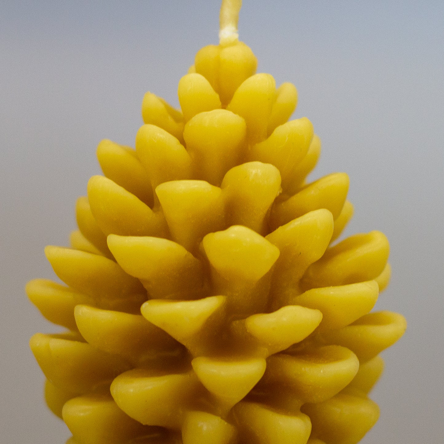 Pine Cone Beeswax Candle