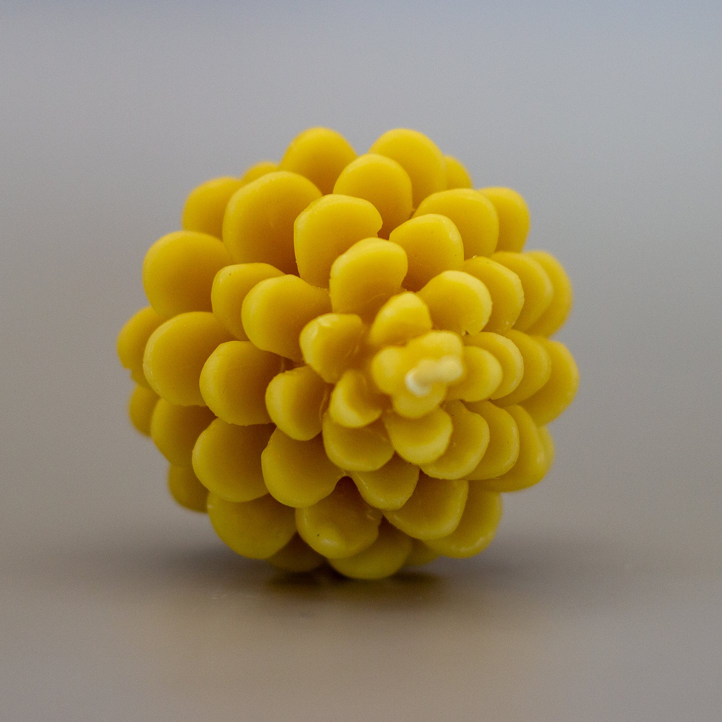 Pine Cone Beeswax Candle
