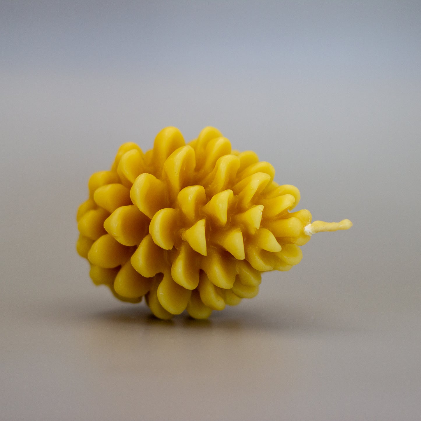 Pine Cone Beeswax Candle