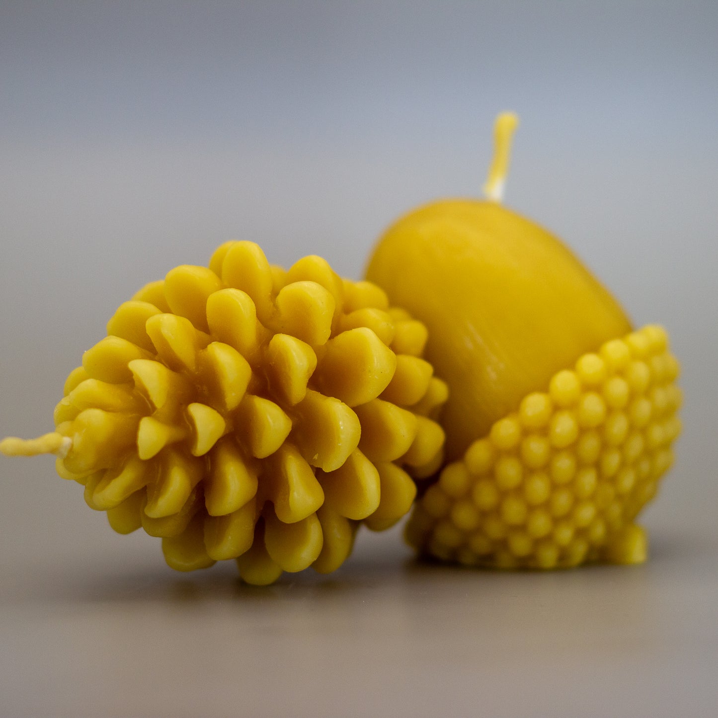 Pine Cone Beeswax Candle