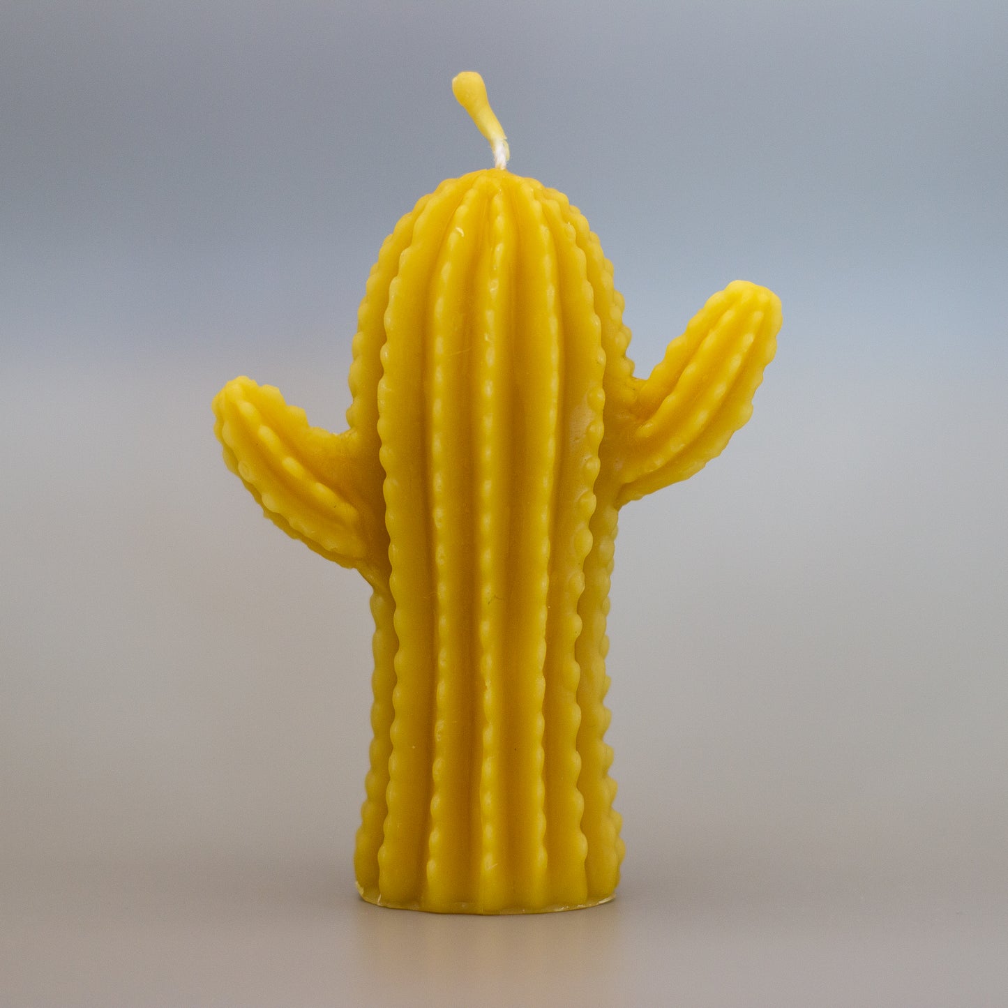 Cactus Beeswax Candle