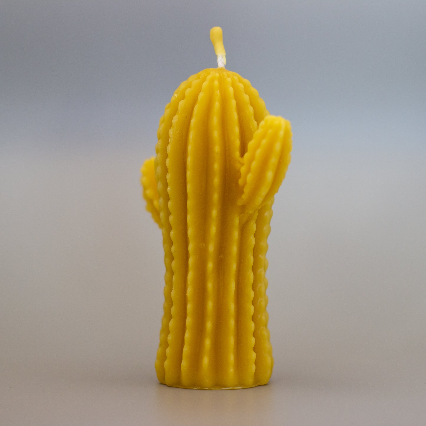 Cactus Beeswax Candle