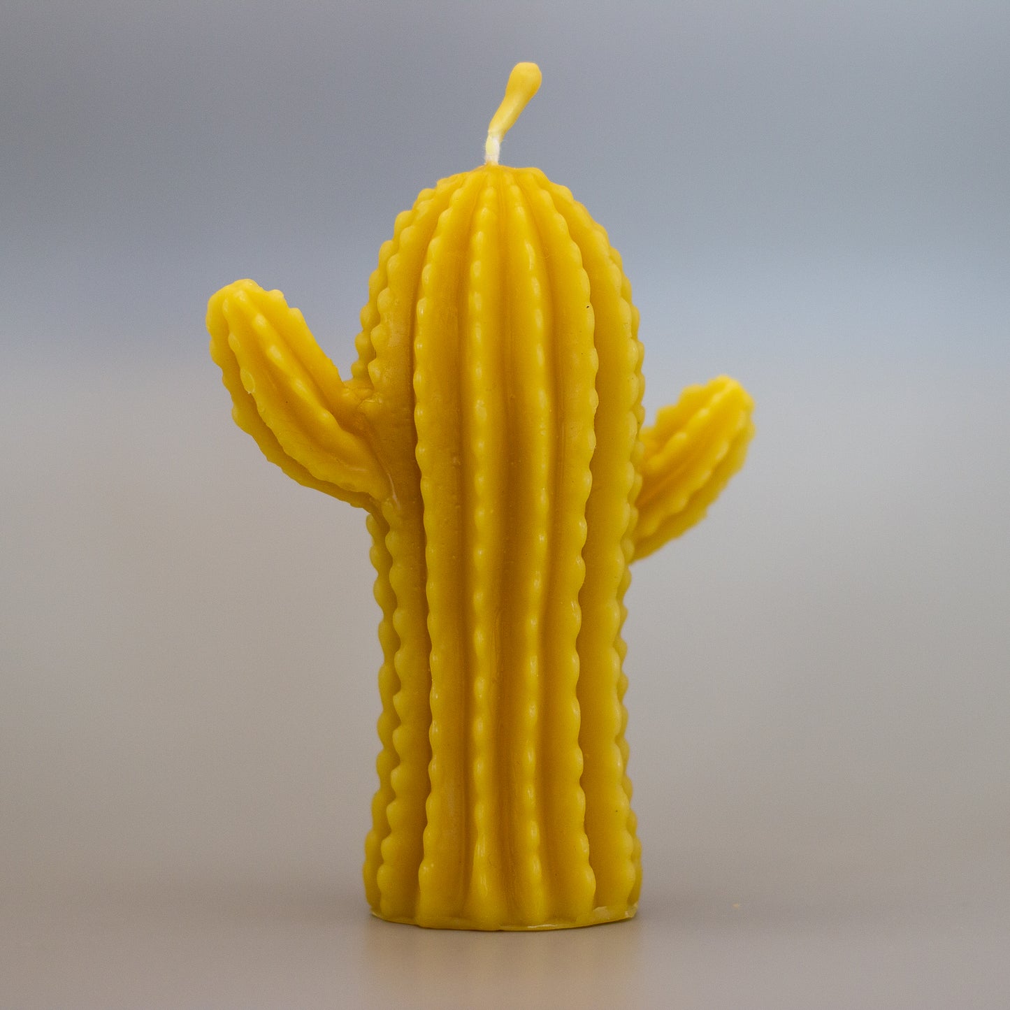 Cactus Beeswax Candle