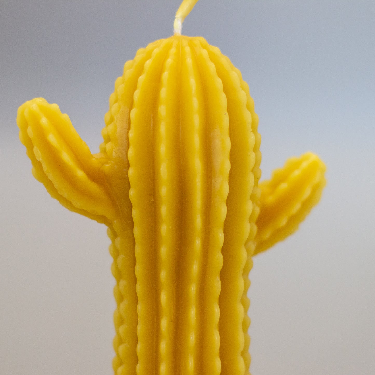 Cactus Beeswax Candle