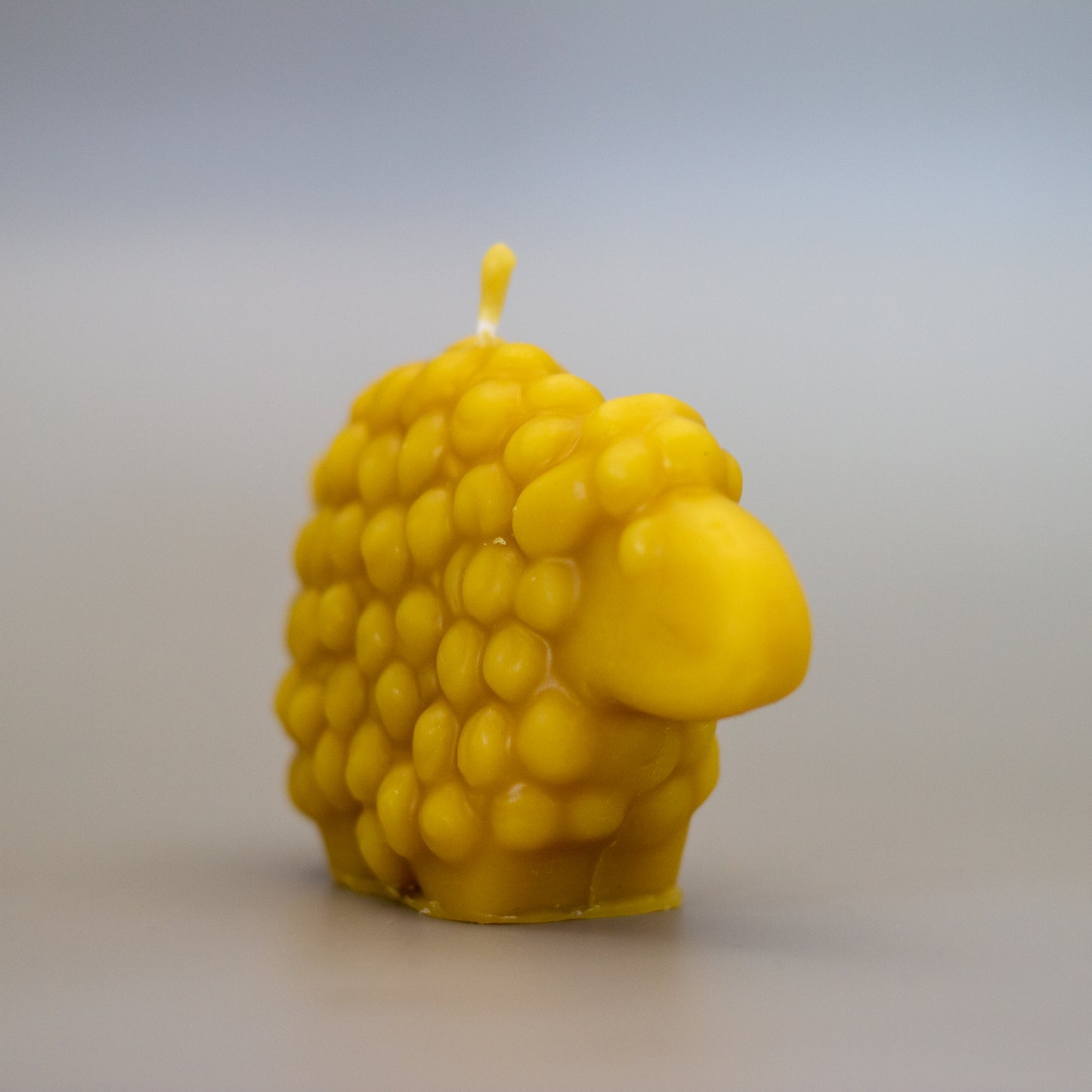 Sheep Beeswax Candle
