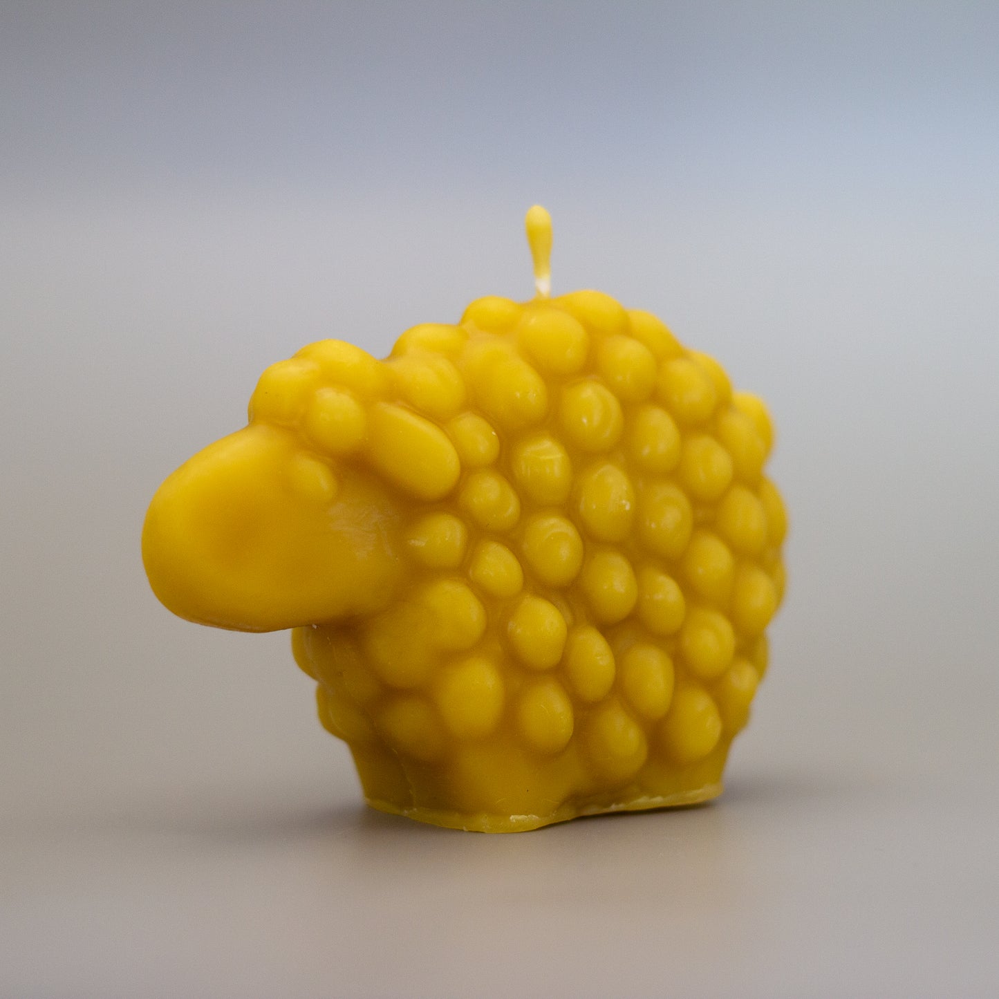 Sheep Beeswax Candle